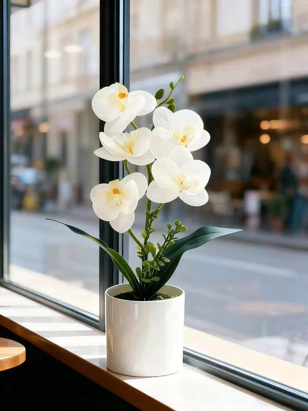 1pc White Artificial Phalaenopsis Orchid Potted Plant, Suitable For Year-Round Indoor Home Decor